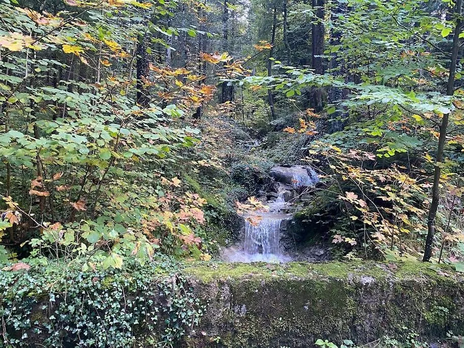 Casa Natur Pur, 85M2 Mit Garten Sauna Fischbachau